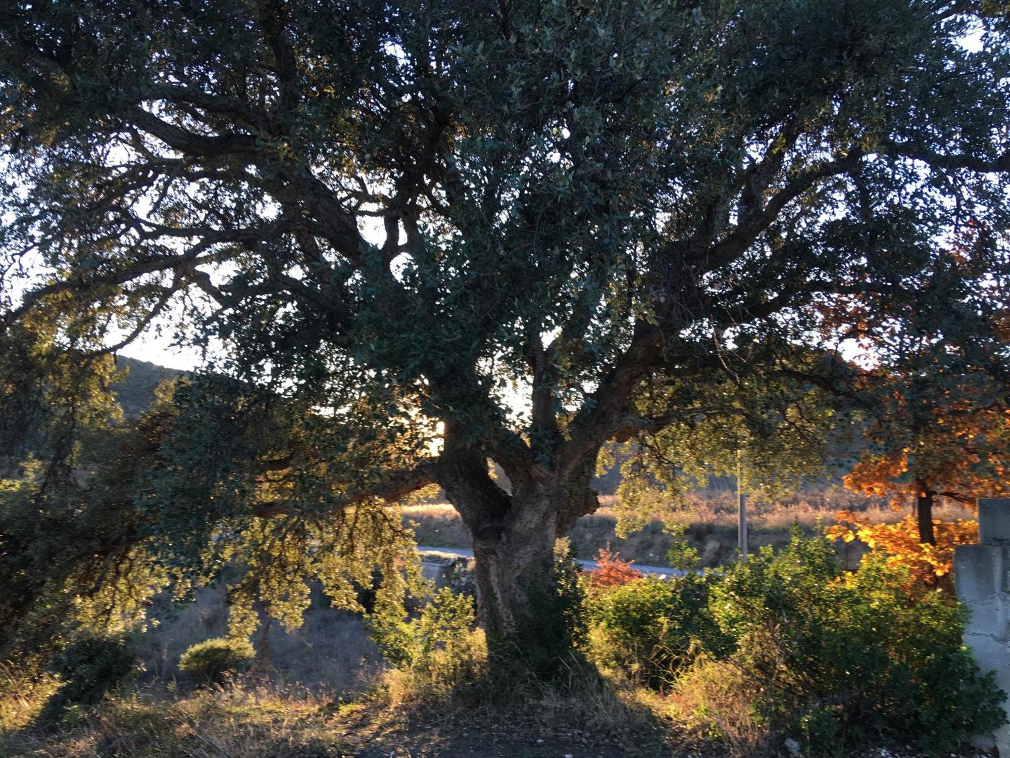 Coeur de nature Rasigueres Extérieur photo